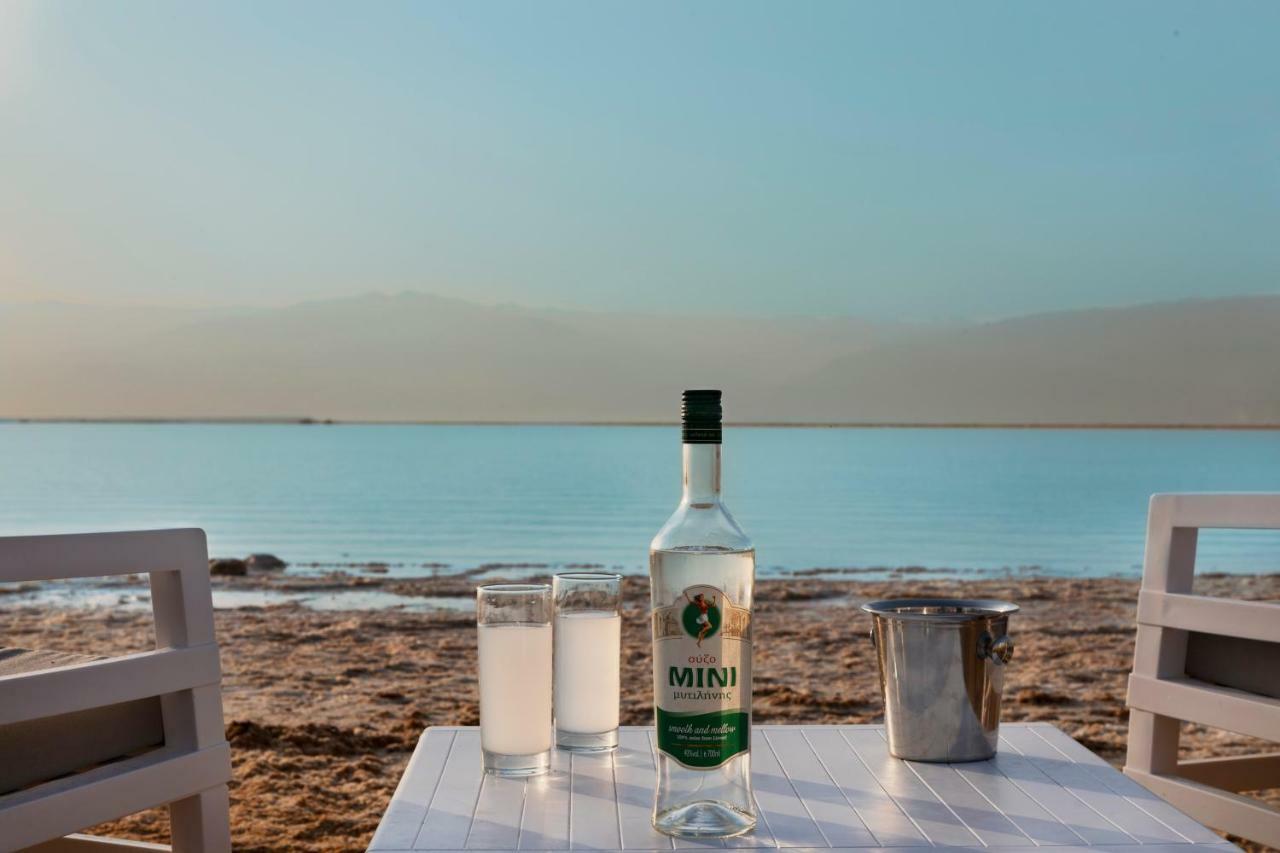 Herbert Samuel Milos Dead Sea Ein Bokek Exteriör bild
